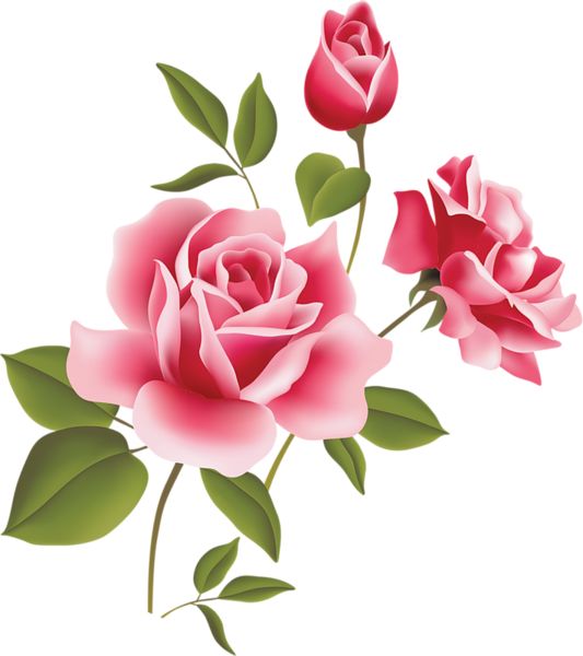 Roses Pink Rose Art Picture Inspiration Clipart