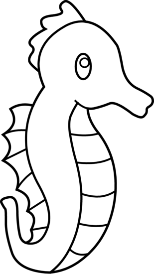 Seahorse Black And White Images Clipart Clipart