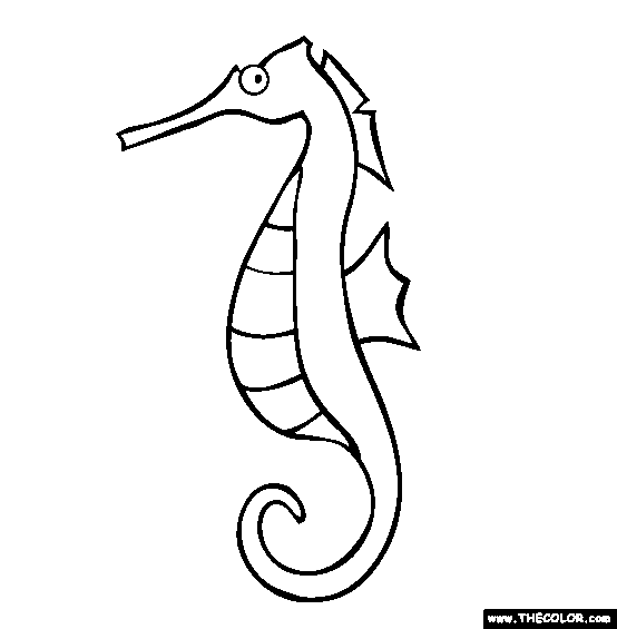Seahorse Black And White Images Clipart Clipart