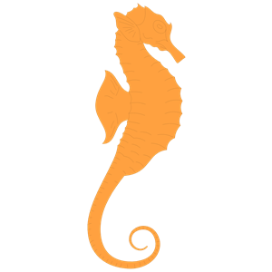 Blue Seahorse Images Download Png Clipart