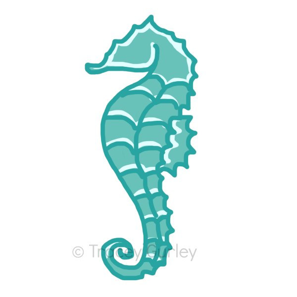 Seahorse Images Png Image Clipart