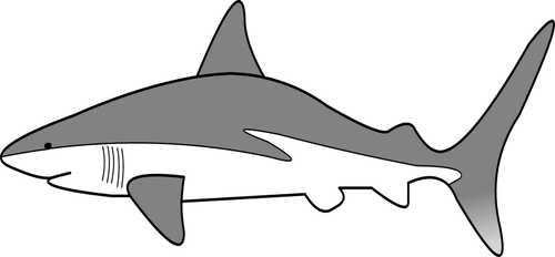 Simple Shark Clipart