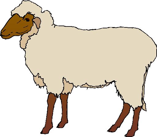 Sheep Images Png Image Clipart