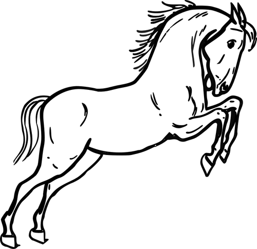Jumping Horse Clipart