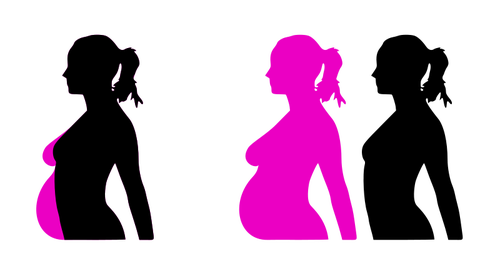 Pregnancy Silhouette Clipart