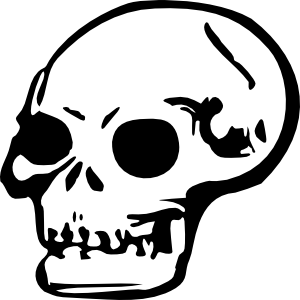 Free Skull Downloads Dromfgg Top Free Download Png Clipart