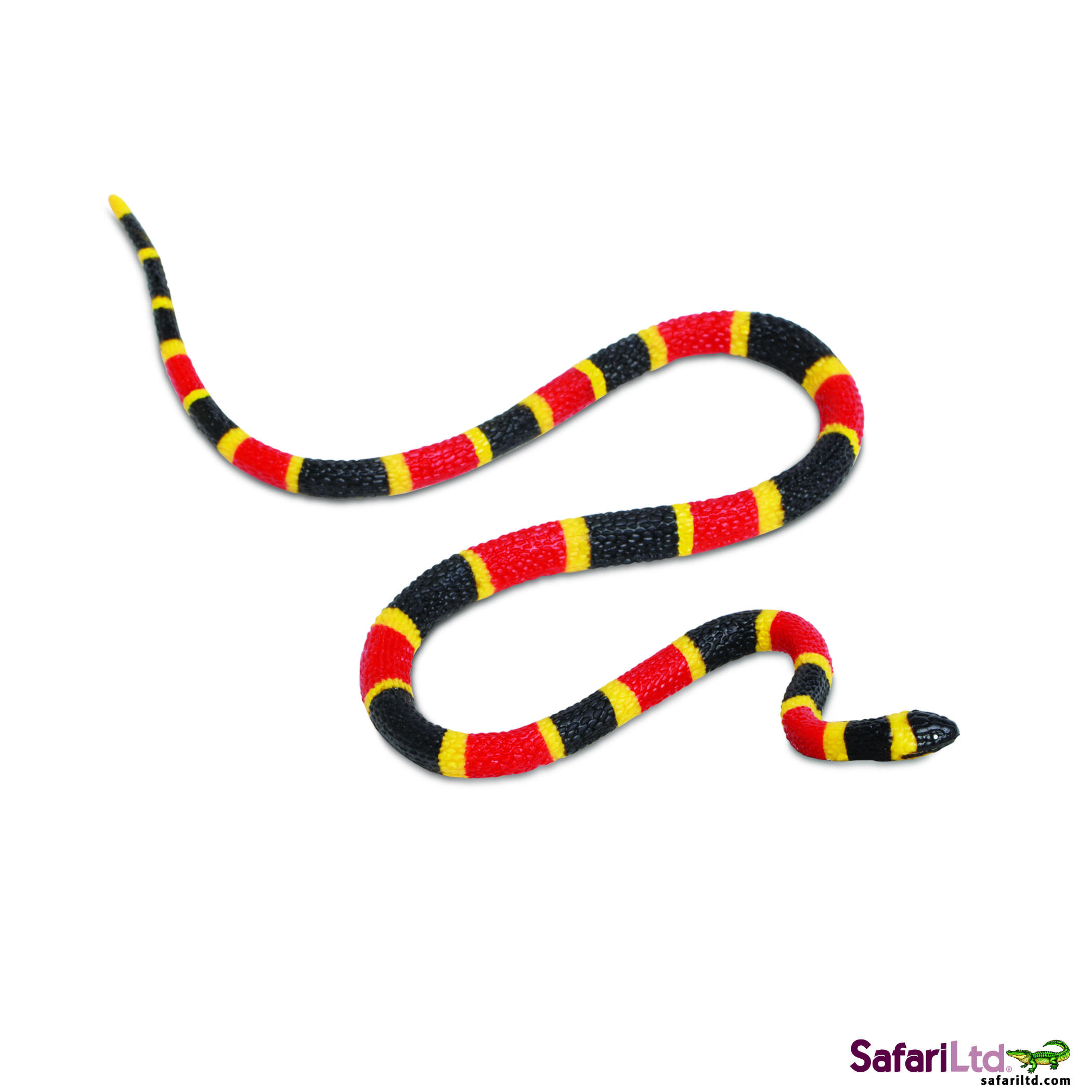 Coral Snake Clipart Clipart