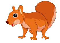 Free Squirrel Pictures Graphics Illustrations Free Download Png Clipart