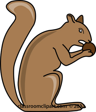 Free Squirrel Pictures Graphics Illustrations Png Image Clipart