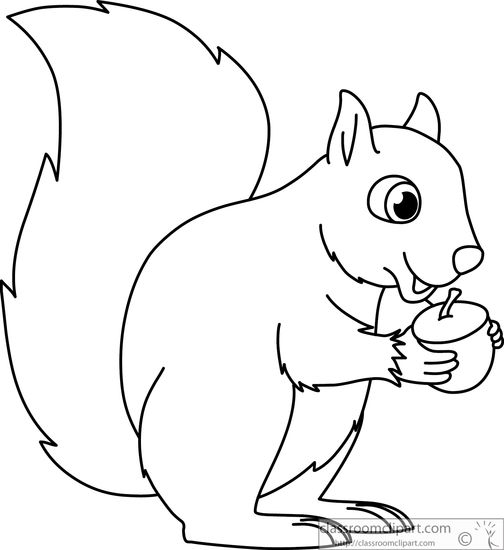 Free Squirrel Image 7 Clipart Clipart