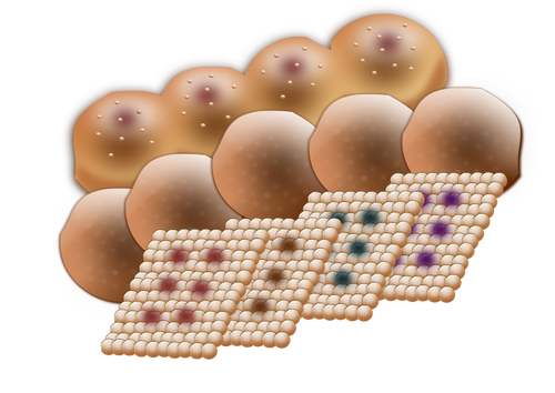 Baked Sweets Clipart