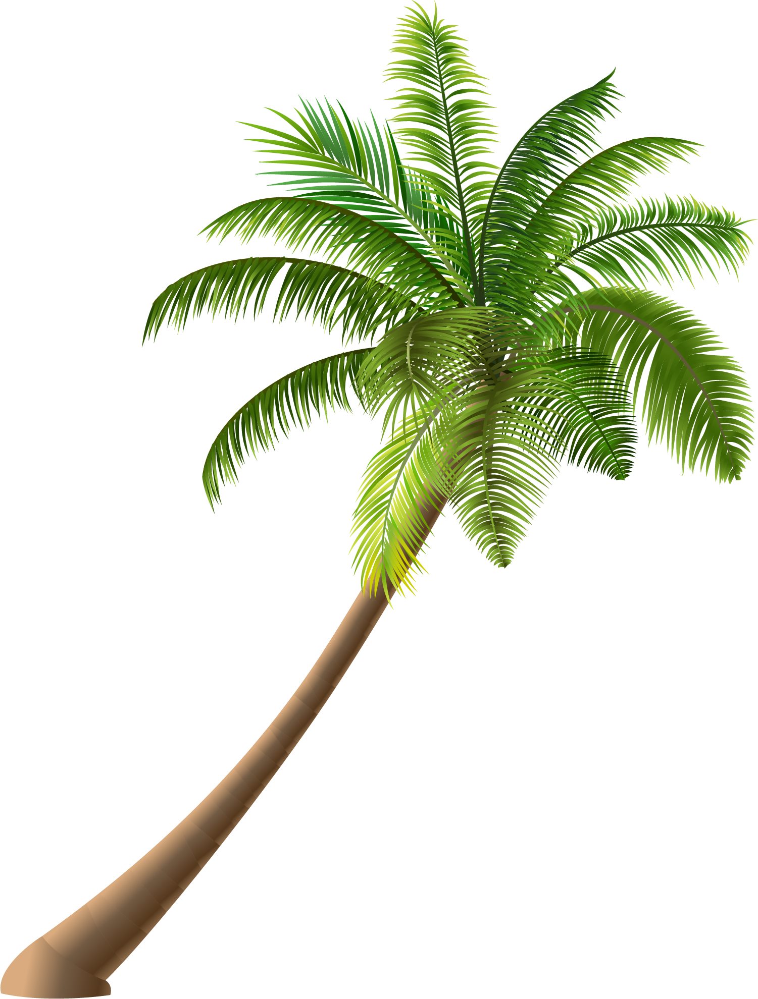 Summer Coconut Simple Illustration Royalty-Free Green Trees Clipart
