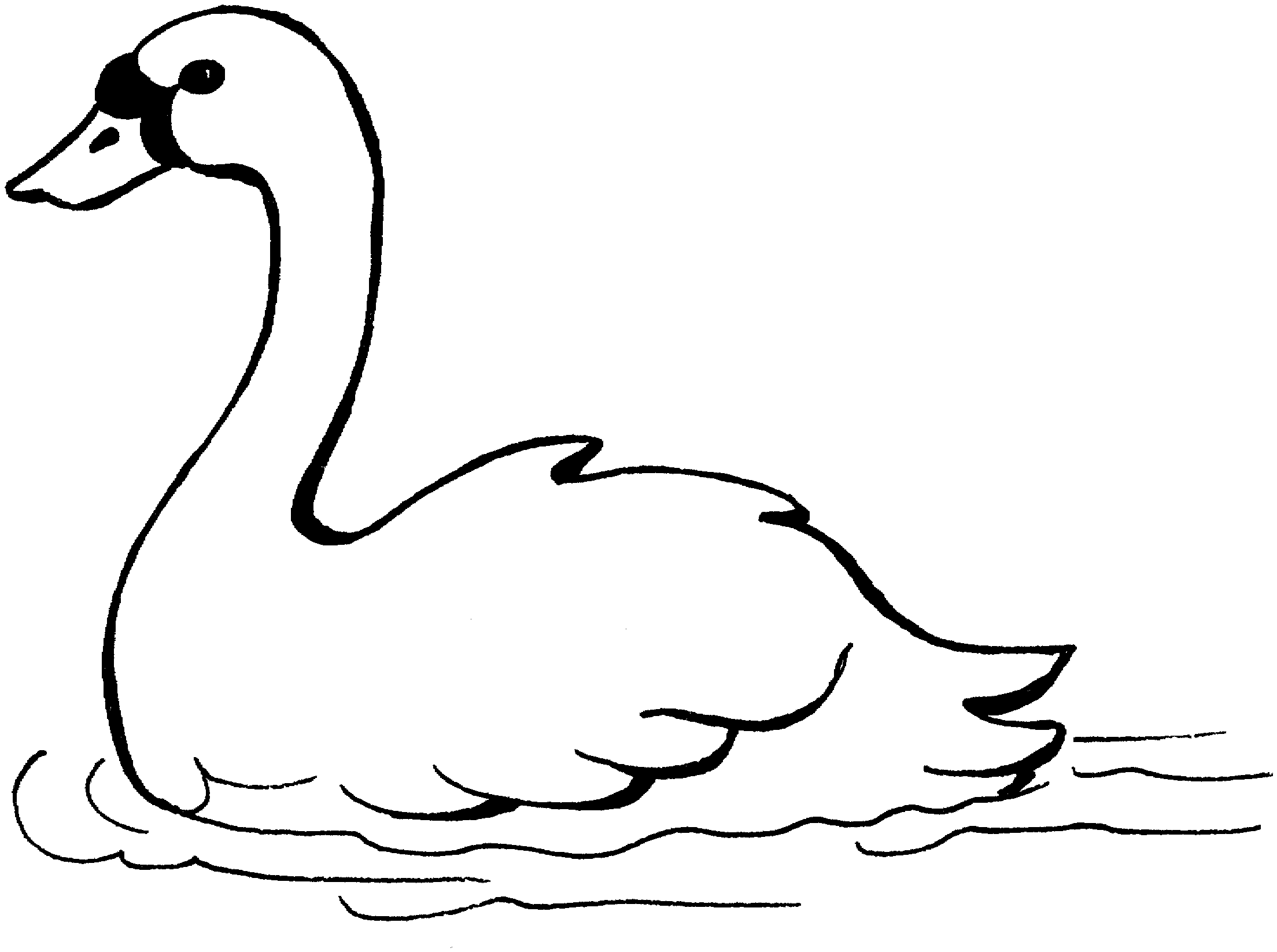 Swan Black And White Free Download Clipart