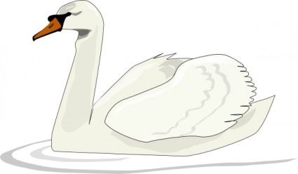 Swan Swimming Vector Vector Download Png Image Clipart