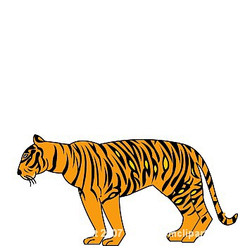 Tiger 14G Transparent Image Clipart