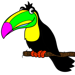 Cartoon Toucan Step By Drawing Lesson Clipart