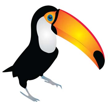 Cartoon Toucan Pictures Png Images Clipart
