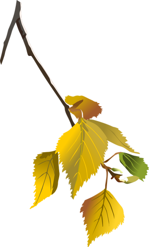 Tree Branch In Autumn Clipart