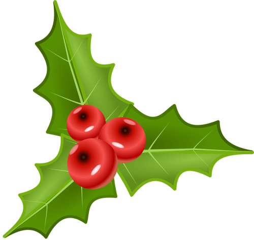 Three Holly Leaves With Three Crones Clipart