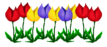 Tulip Images Download On Download Png Clipart