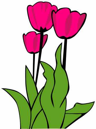 Free Tulip Flower Images And Clipart Clipart