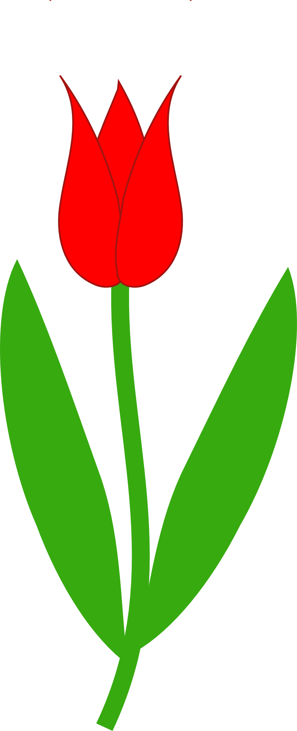 Tulip Border Png Images Clipart