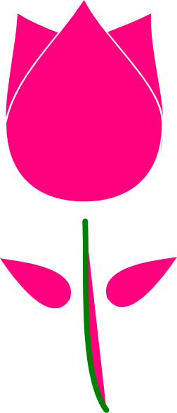 Pink Tulip Hd Image Clipart