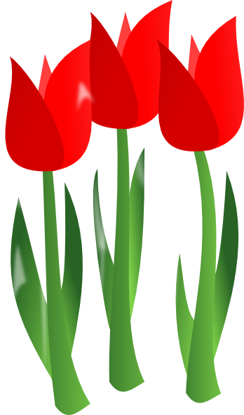 Red Tulip Free Download Clipart