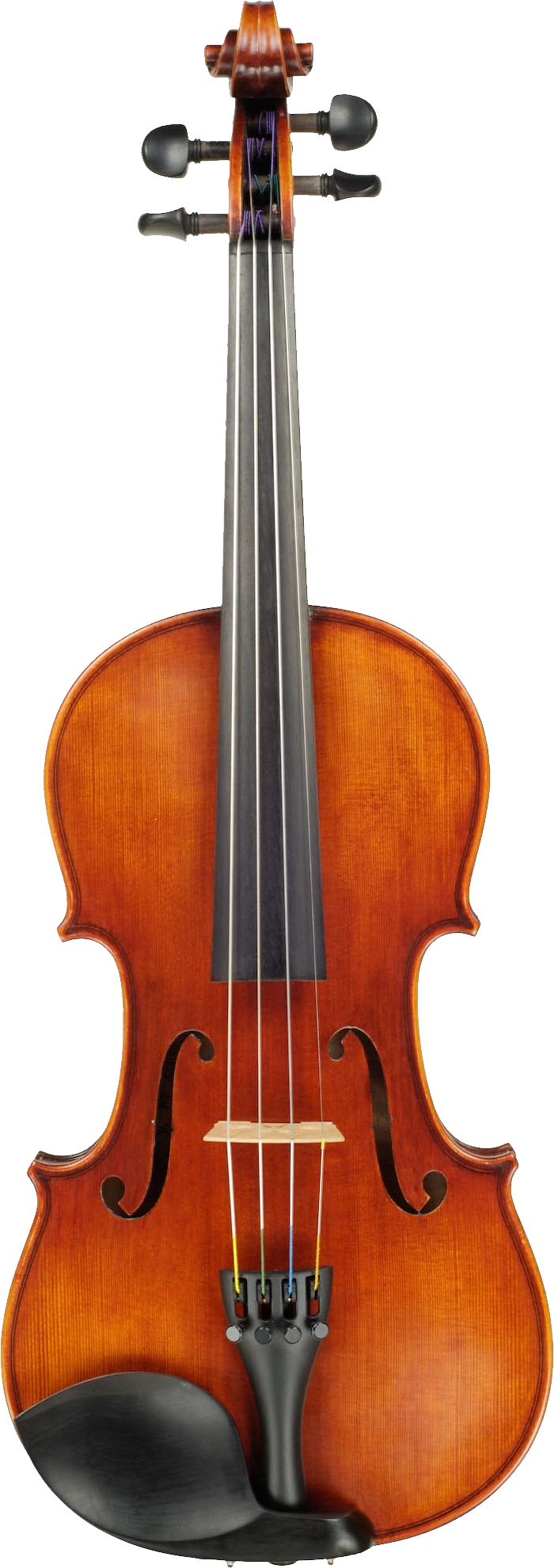 Stradivarius Cremona Lady Violin Japan Blunt Clipart