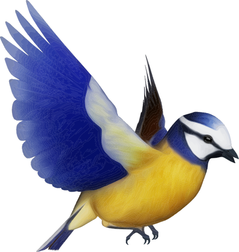 Of Colorful Bird Clipart