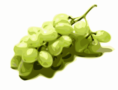 Image Of Stylized Green Grapes Clipart