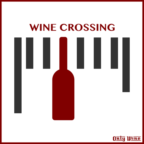 Wine Label 3 Clipart