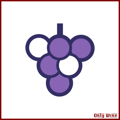 Violet Grapes Image Clipart
