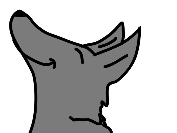 Wolf Images Clipart Clipart